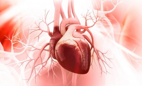 Shares Higher Over the Last Five Trading Sessions: MyoKardia, Inc. (NASDAQ:MYOK) Shares Higher Over the Last Five Trading Sessions: MyoKardia, Inc. (NASDAQ:MYOK)