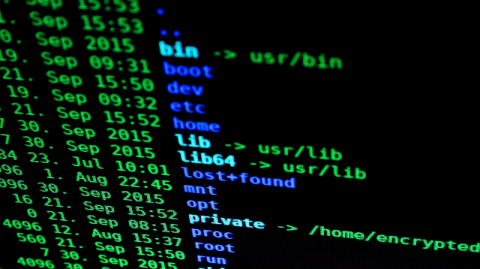 Coding hacking computer language code - 800 px (Pixabay) Image: Pixabay