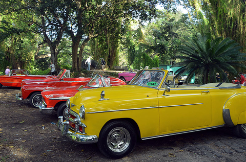 Carnival Cuba Editorial Classic Cars in Cuba