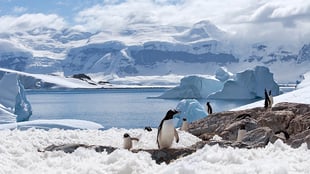 Tour Company Cancels Polar Cruise As Staff Say They Are Owed Thousands Travel Agent Central Tour Company Cancels Polar Cruise As Staff Say They Are Owed Thousands Travel Agent Central