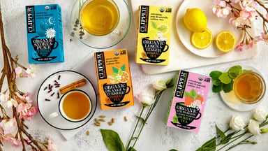 Clipper Teas launches Organic Hemp infusions - Tea & Coffee Trade Journal