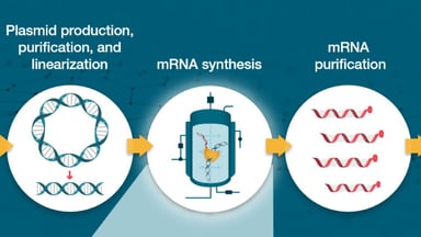 Raw materials matter in mRNA vaccine and therapeutic development 