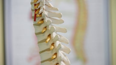 Medtronic's Intellis spinal cord stimulator algorithm delivers