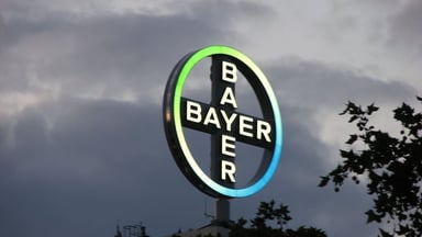 Bayer to cut loose animal health, consumer brands and 12,000 jobs in huge  shakeup | Fierce Pharma