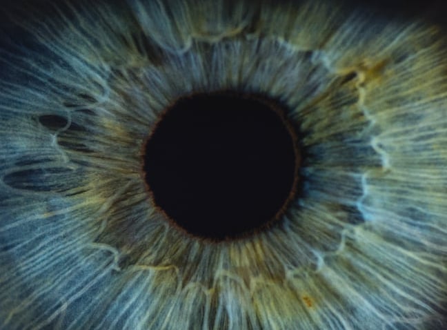ojo, globo ocular, enfermedades de la retina