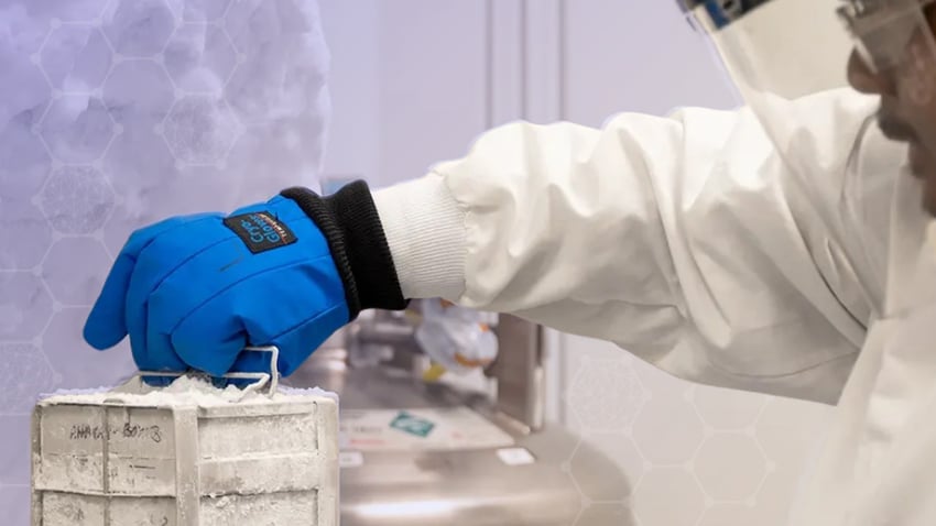 Investigational Rosnilimab Emerges as a Novel, Differentiated Treatment Option for Rheumatoid Arthritis