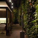 Phyto Universe, Manhattan