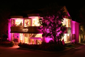 1009-picture-of-pink-abss 1009-picture-of-pink-abss
