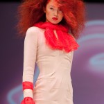 020_showtrendvision2011-1