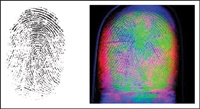 Figure 4. The print on the left of a dry fingertip was taken with a conventional TIR imager. On the right is the same finger, but imaged with a multispectral sensor. The latter image was collected using five wavelengths (475, 500, 560, 576, and 625 nm). It is shown here as a pseudo-color representation of the first three factors produced by a decorrelation-stretching technique operating on the original five image planes.