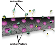 Figure 4. A new way to attach molecules to the surfaces of carbon nanotubes entails a "supercritical fluid" (not shown) with both gas- and liquid-like properties to load specially designed "anchor molecules" onto the nanotubes without compromising tube strength and sensitivity; the active sites are indicated here binding to a targeted chemical (yellow)