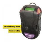 Personal Radiation Detectors from RAE Systems