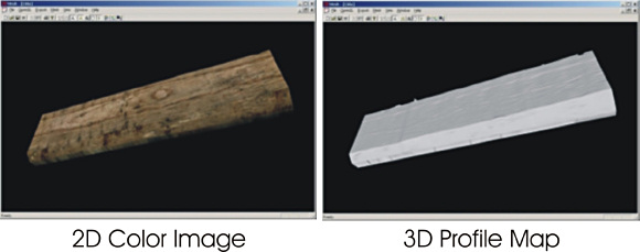 Figure 3. 2D and 3D outputs