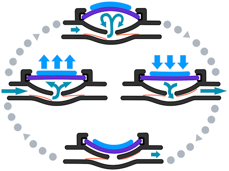 Figure 2. A diagram of the pumping mechanism. As the voltage applied to the piezoceramic material (blue) on the membrane (purple) changes, the membrane flexes up, sucking fluid into the pumping chamber, and down, expelling the fluid