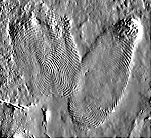 Figure 6. A fingerprint taken from a PTFE insulating plate using an EPIC sensor