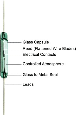 Fig. 2: Components of a reed switch.