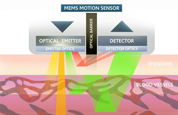 Fig. 2: Photoplethysmography (PPG) involves shining light into the skin and measuring perfusion of blood in the dermis and subcutaneous tissue.