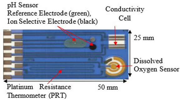 Fig. 5: Thick film multisensory array for subcutaneous deployments. It has conductivity, pH, temperature and oxygen sensors all incorporated on the same substrate.