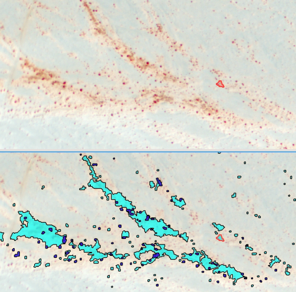 Fig. 7: Image analysis software creates models to accurately reflect conditions on the ground.