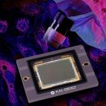CCD Image Sensors Deliver Enhanced NIR Performance