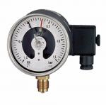 Pressure Gauges Also Provide Switching