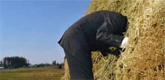 Fig. 3: Finding the biometric is like finding a needle in a haystack.