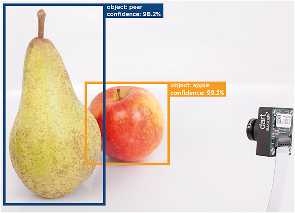 Fig. 1: A trained system can locate the object and determine its nature with a high accuracy. Here the camera looks at an apple and a pear.