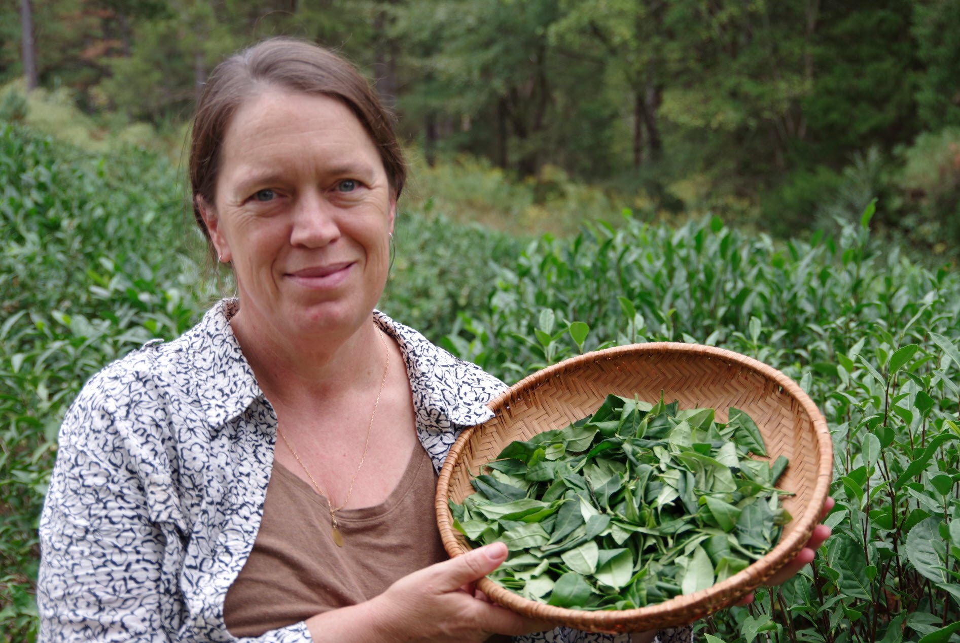 Christine Parks - Author of Grow Your Own Tea