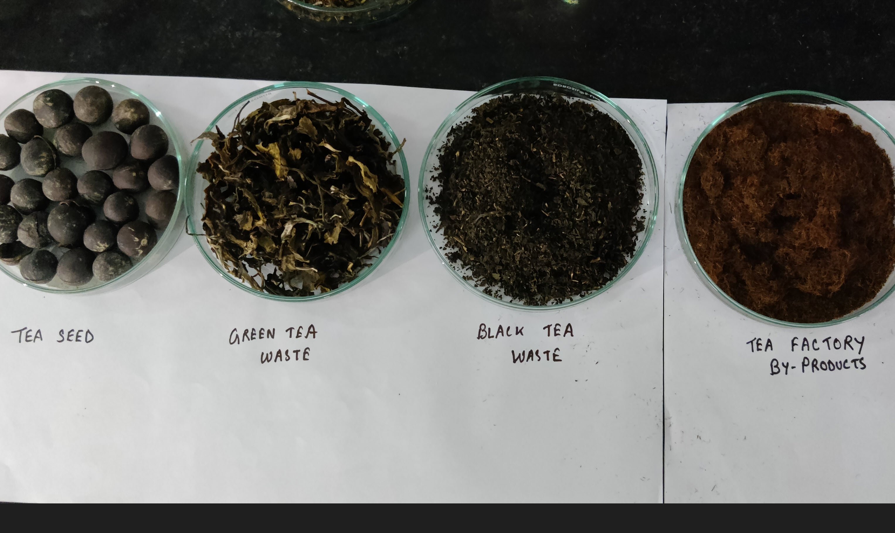 Tea Waste Research Study Report Innovation India University