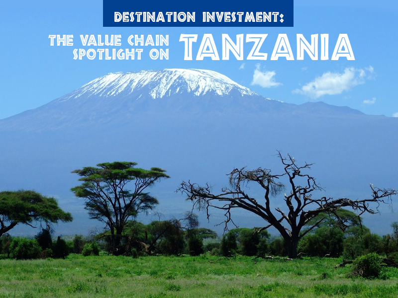 Tanzania Destination Investment