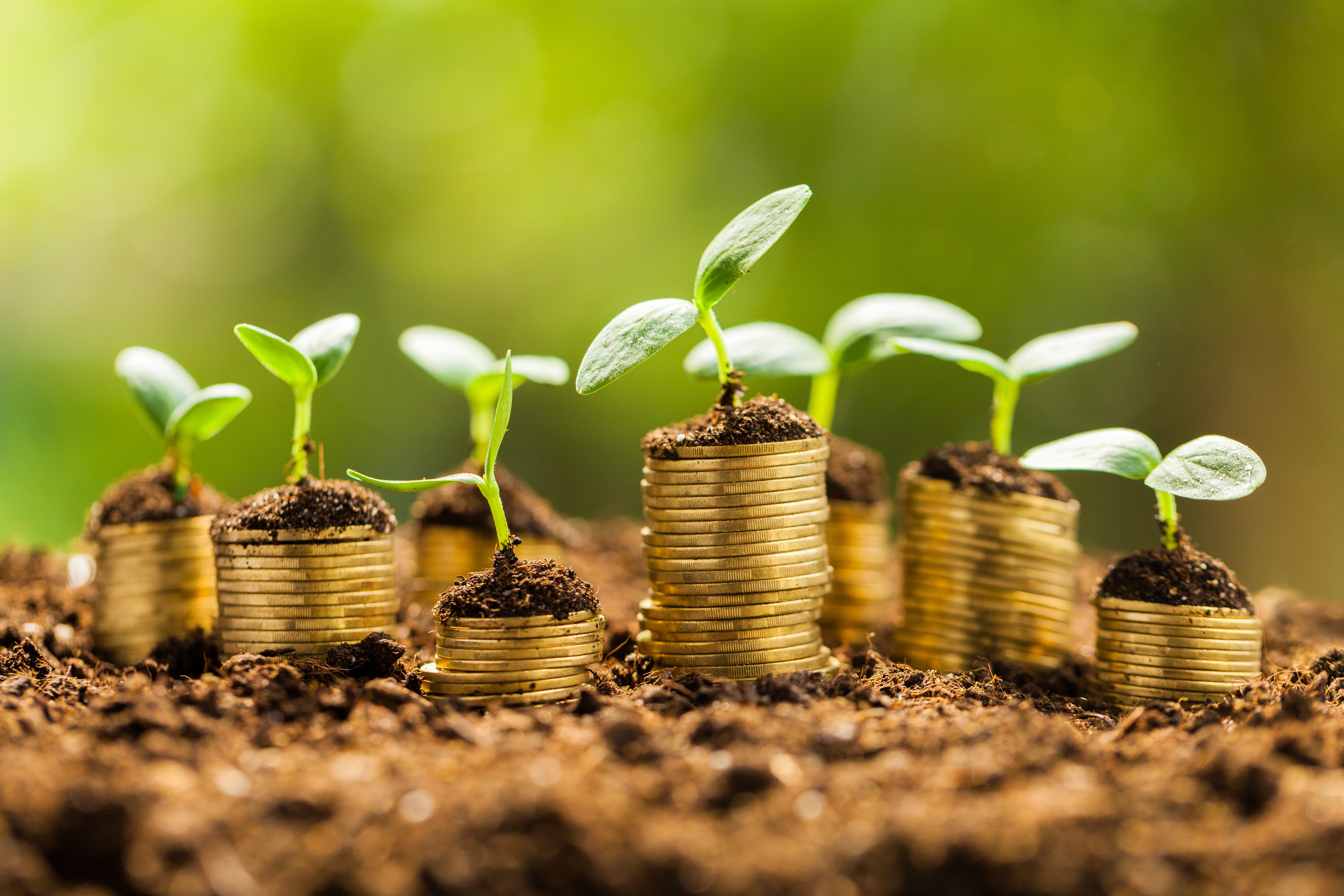 Green financing for tourism projects