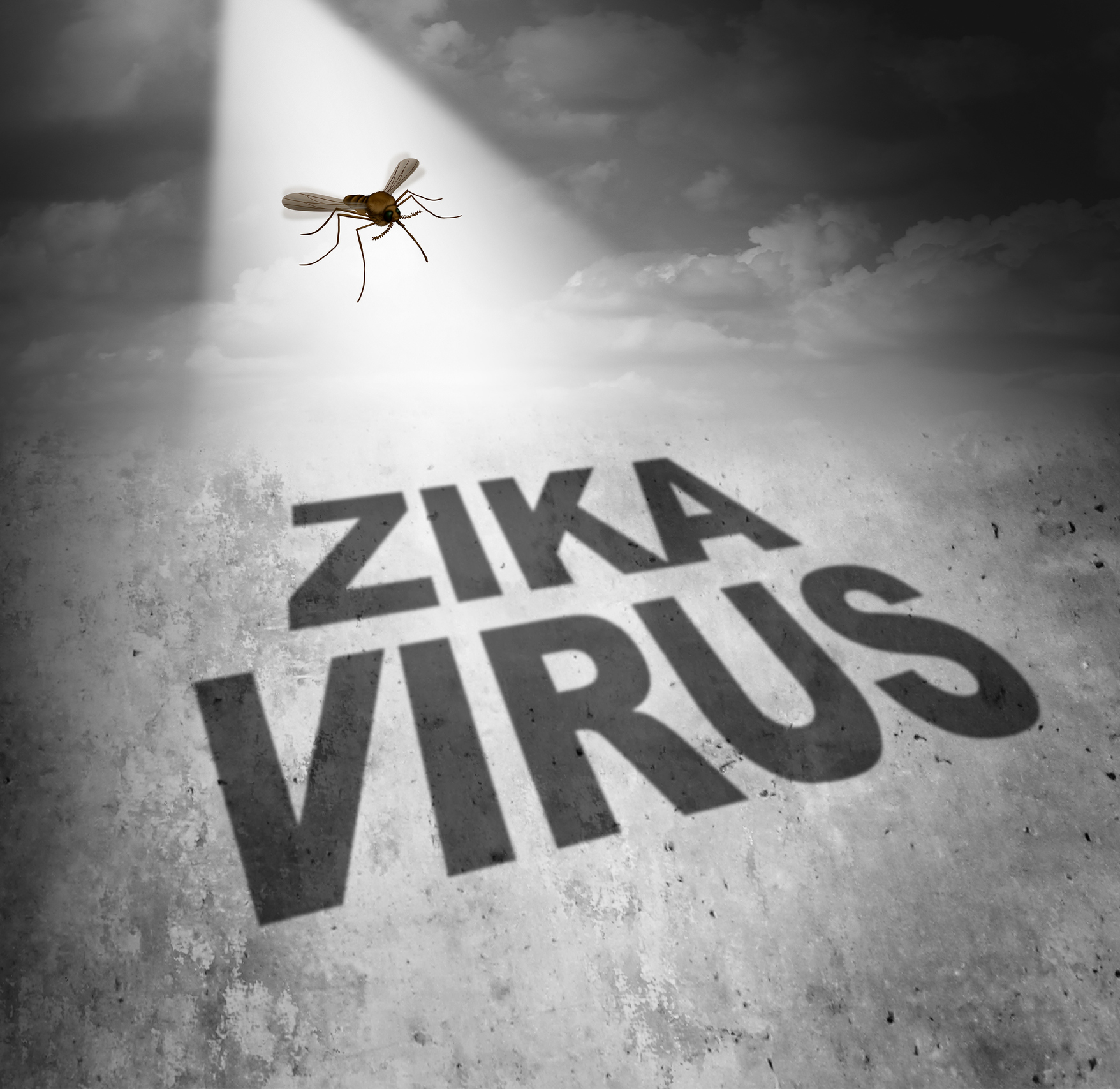 Zika virus scares