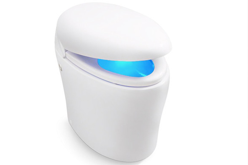 Karing toilet includes a self-cleaning wand and precision air dryer with programmable settings for two users