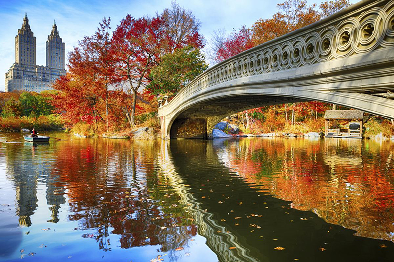 Fall NYC Photo by espiegle espiegle iStock  Getty Images Plus Getty Images Editorial Only