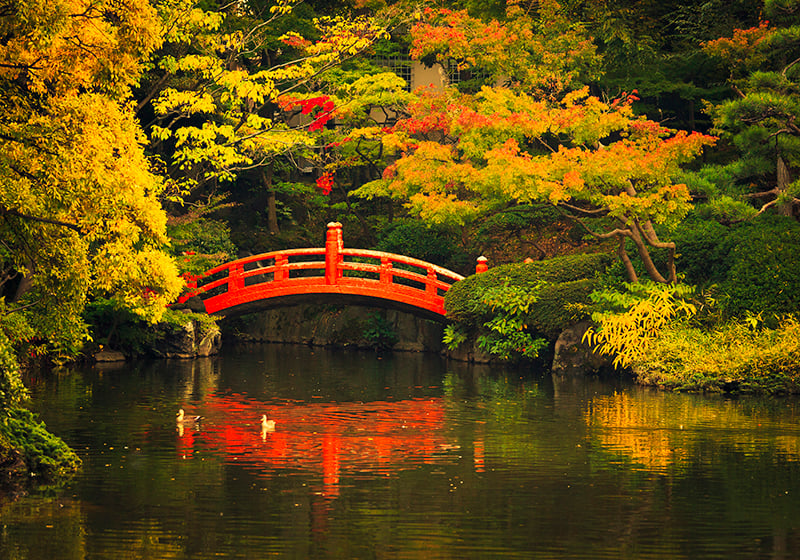 Japan Gardens THEPALMER EGetty Images