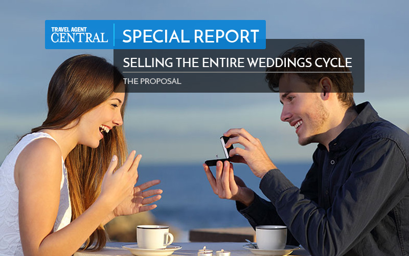 Weddings Special Report Proposal