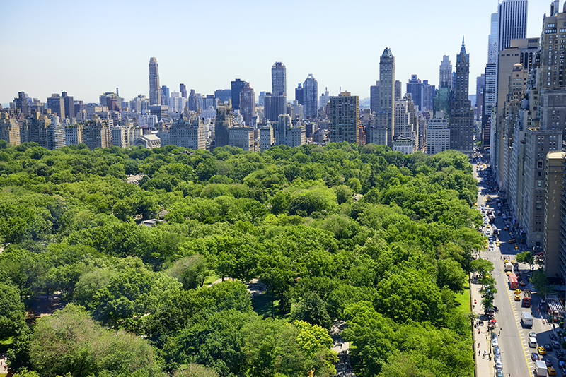 Central Park New York City - Lady-PhotoiStockGetty Images PlusGetty Images