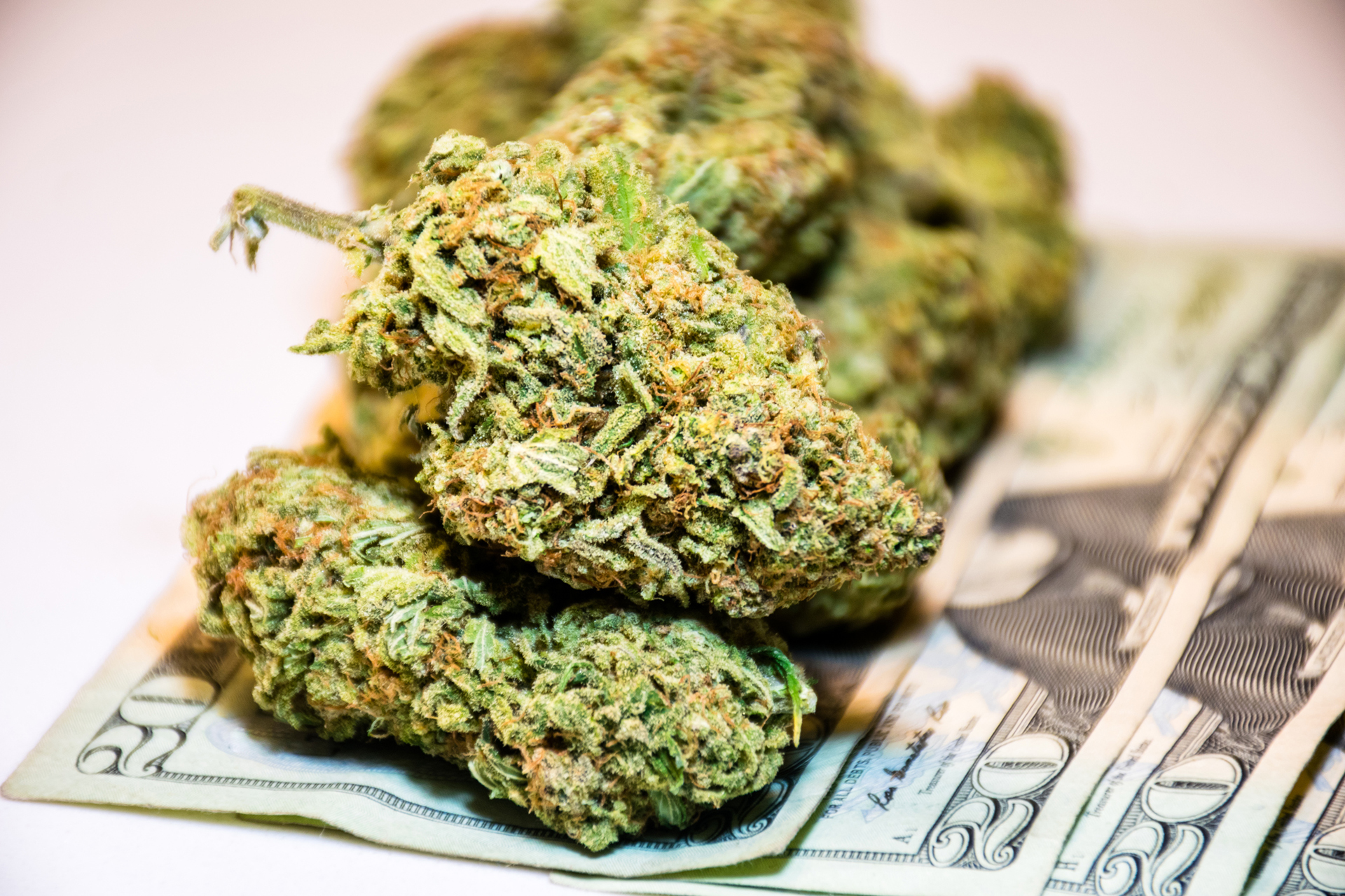 Marijuana and cash