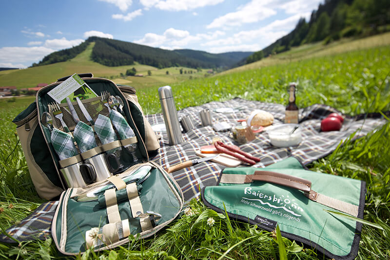 picnic in Baiersbronn Germany