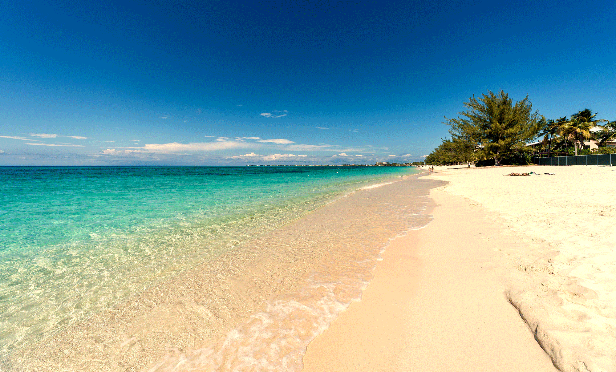 Locale is headed for Seven Mile Beach Grand Cayman