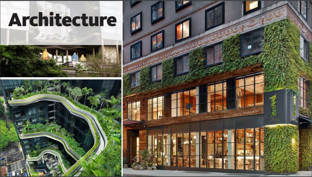 Biophilic Architecture