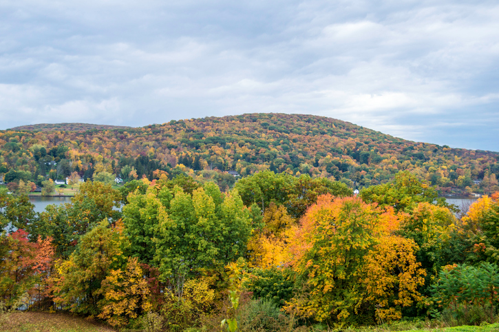 Wykeham Rise is set amidst 4500 acres of nature preserves and 36 miles of hiking trails offering 54 rooms suites cottages