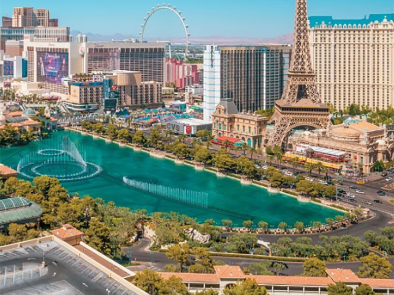 Las Vegas Focus Cover Image
