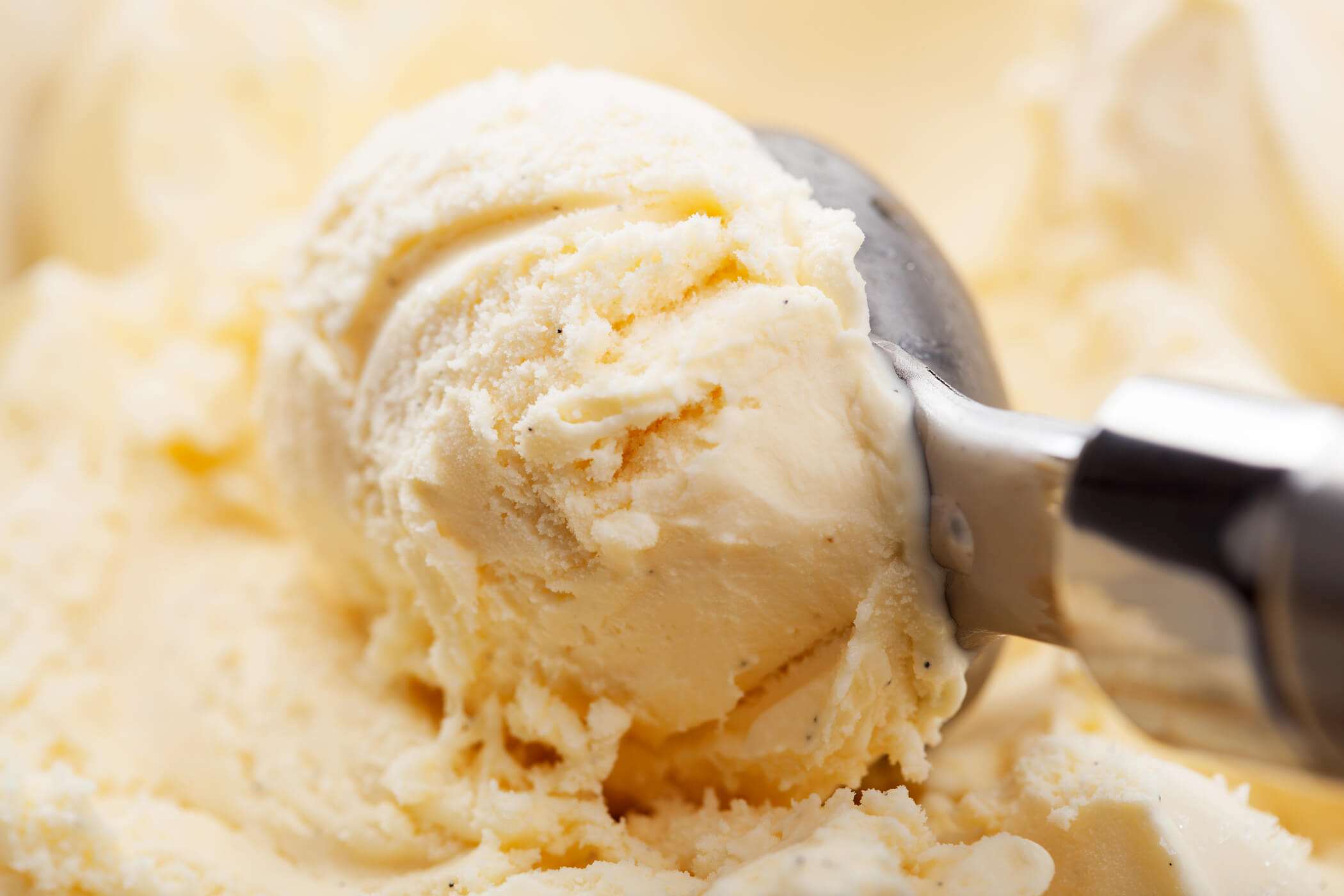 Ice cream scoop and vanilla ice cream