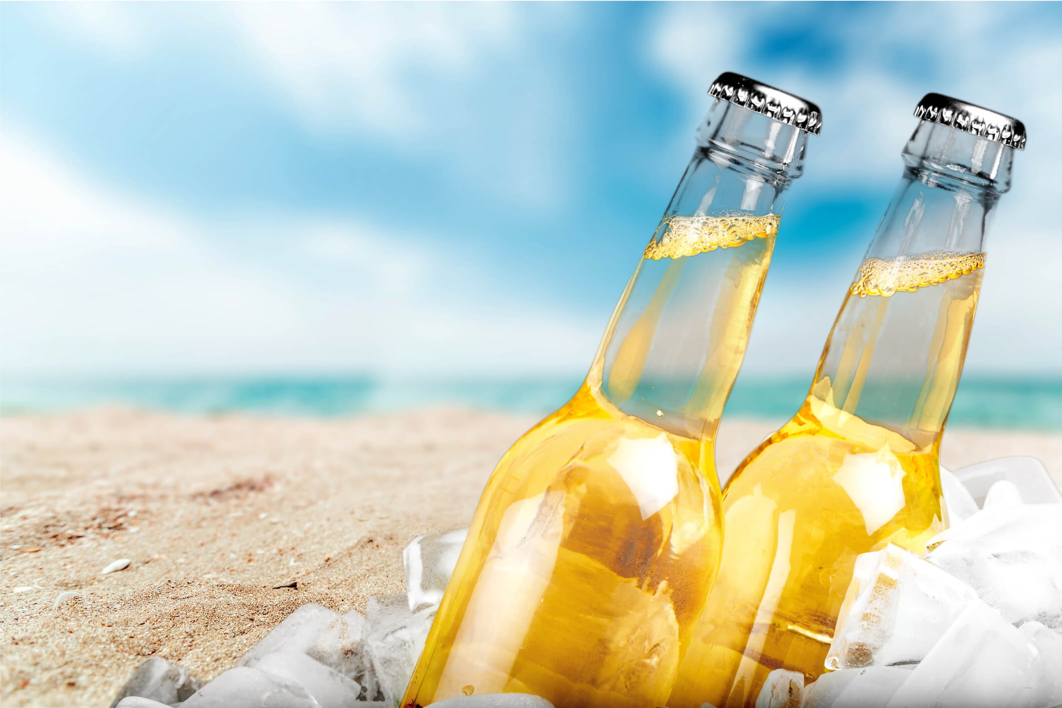Beer bottles on a beach in ice