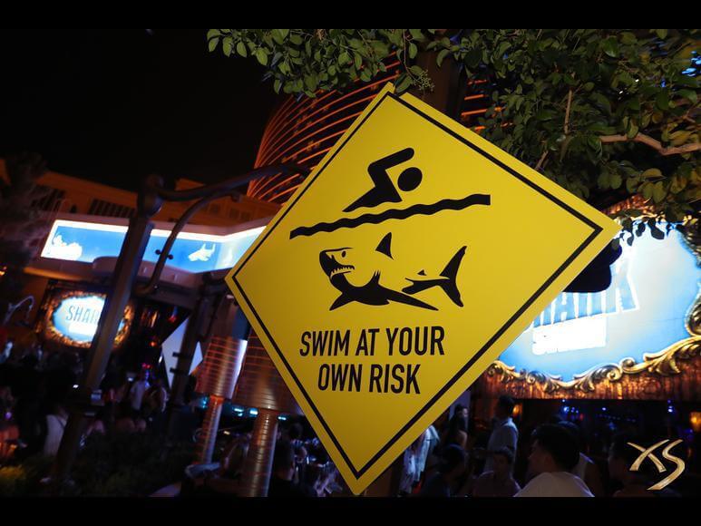 Wynn Shark Swim promotion 