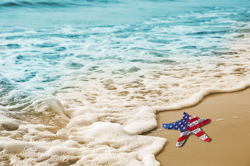 Starfish with an American flag pattern on a beach