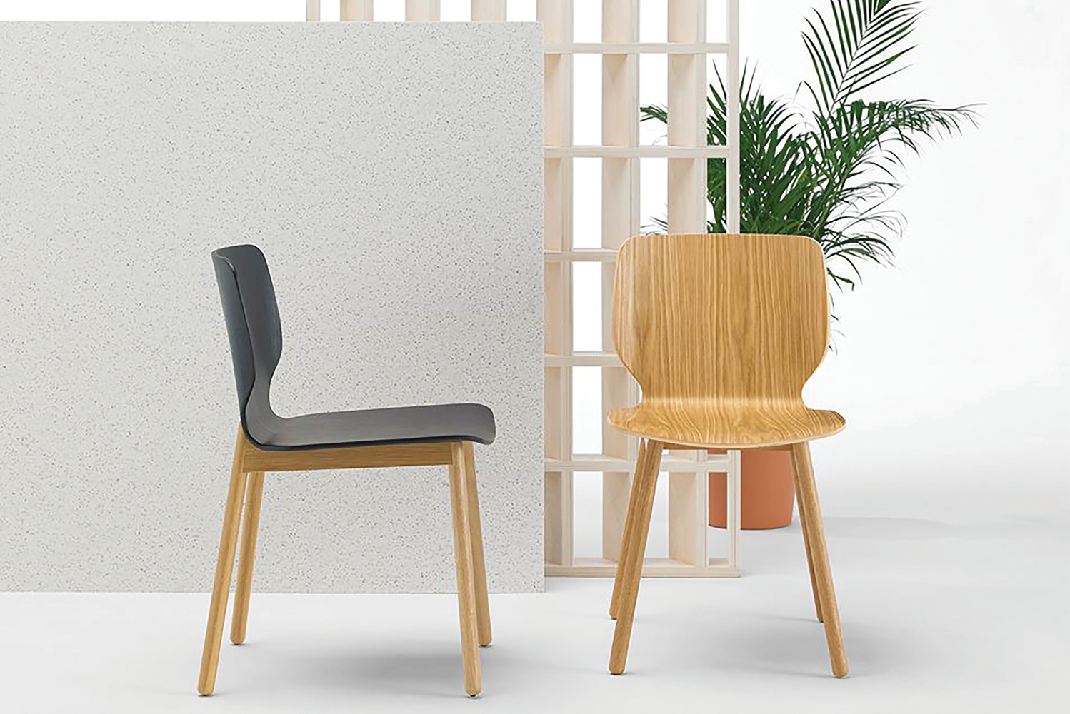 Introducing Nim a collection of chairs combining crafted wood with contrast-stitched upholstery 