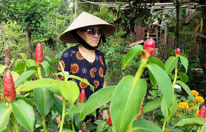 A Vietnamese woman in Hoi An tends her flower garden 