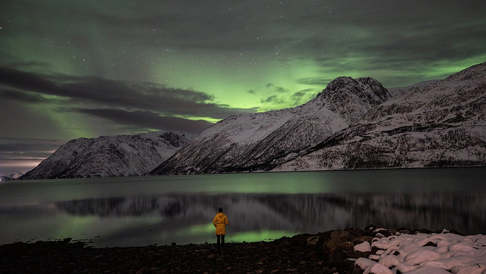 Person standing on edge of a lake looking at the Northern Lights